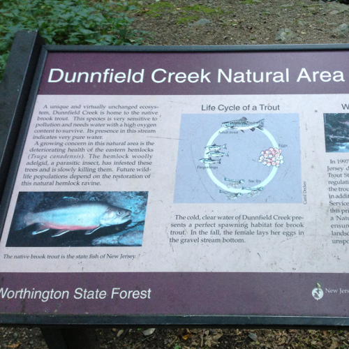 Dunnfield Creek