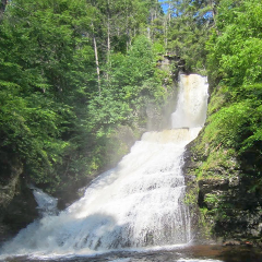 Dingmans Falls