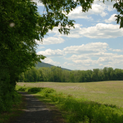 McDade Trail in close to Smithfield Beach